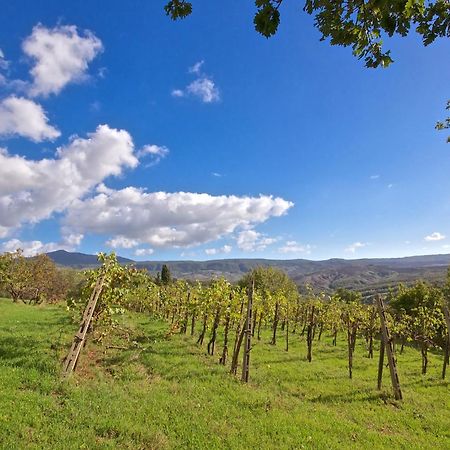 Agriturismo Corvaia Радикофани Экстерьер фото