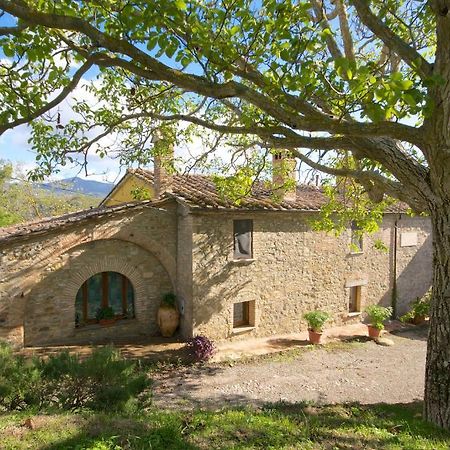 Agriturismo Corvaia Радикофани Экстерьер фото