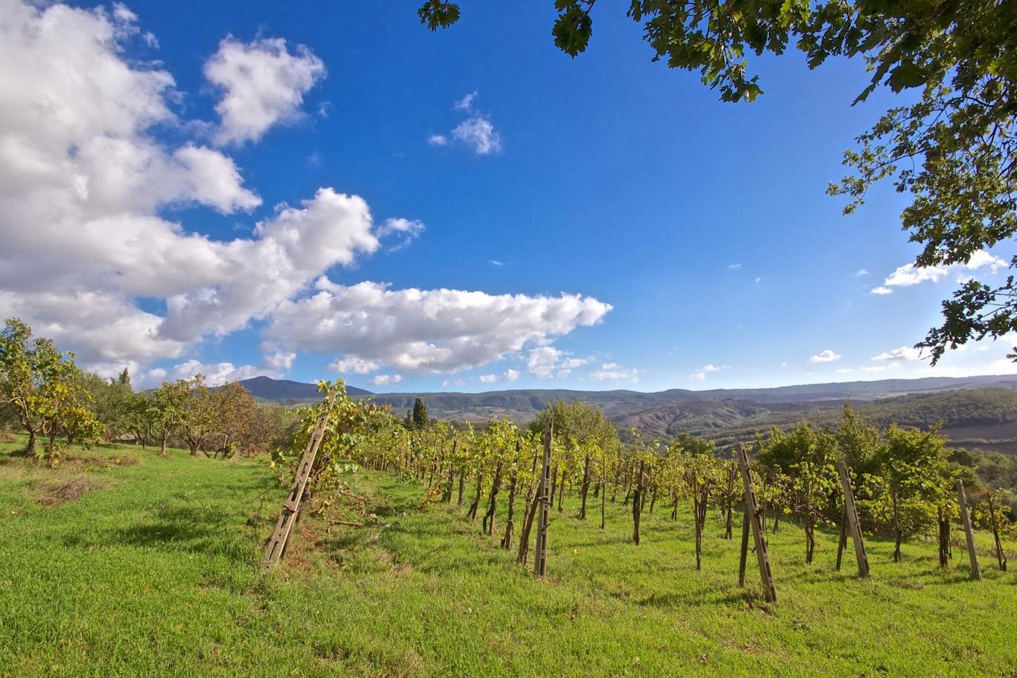 Agriturismo Corvaia Радикофани Экстерьер фото