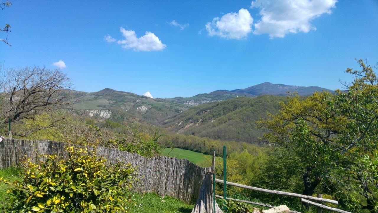 Agriturismo Corvaia Радикофани Экстерьер фото